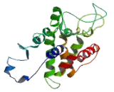 Ganglioside Induced Differentiation Associated Protein 1 (GDAP1)