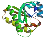 Ganglioside Induced Differentiation Associated Protein 2 (GDAP2)