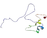 Gap Junction Protein Alpha 9 (GJa9)