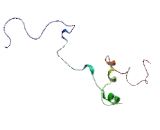 Gap Junction Protein Delta 4 (GJd4)