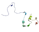 Gap Junction Protein Gamma 1 (GJC1)