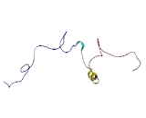 Gap Junction Protein Gamma 2 (GJC2)