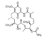 Geldanamycin (GDM)