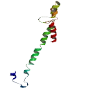 Gem Associated Protein 8 (GEMIN8)