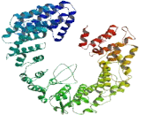 General Control Of Amino Acid Synthesis 1 Like Protein 1 (GCN1L1)