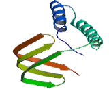 General Transcription Factor IIA, Polypeptide 2 (GTF2A2)