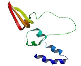 General Transcription Factor IIA, Polypeptide 1 Like Protein (GTF2A1L)