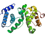 General Transcription Factor IIB (GTF2B)