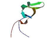 General Transcription Factor IIE, Polypeptide 1 (GTF2E1)