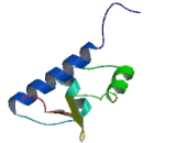 General Transcription Factor IIE, Polypeptide 2 (GTF2E2)