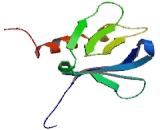 General Transcription Factor IIH Subunit 1 (GTF2H1)