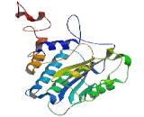 General Transcription Factor IIH, Polypeptide 2C (GTF2H2C)