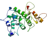 General Transcription Factor IIH, Polypeptide 3 (GTF2H3)