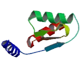 General Transcription Factor IIH, Polypeptide 4 (GTF2H4)