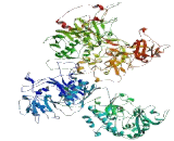 General Transcription Factor IIIC, Polypeptide 1 (GTF3C1)