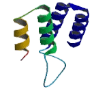 General Transcription Factor IIIC, Polypeptide 3 (GTF3C3)