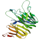 General Transcription Factor IIIC, Polypeptide 4 (GTF3C4)