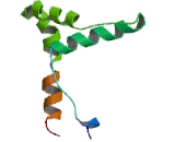 General Transcription Factor IIIC, Polypeptide 5 (GTF3C5)