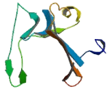 General Transcription Factor IIIC, Polypeptide 6 (GTF3C6)