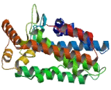 Geranylgeranyl Diphosphate Synthase 1 (GGPS1)