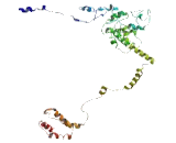 Germ Cell Less Homolog 1 (GMCL1)