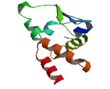 Germ Cell Less Homolog 1 Like Proteim (GMCL1L)