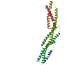 Gerodermia Osteodysplastica (GO)