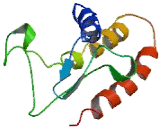 Ghrelin-O-Acyltransferase (GOAT)