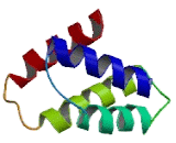 Gibbon Ape Leukemia Virus Receptor 1 (GLVR1)