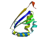 Glioblastoma Amplified Sequence (GBAS)