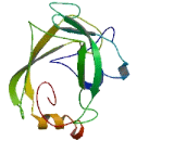 Glioma Tumor Suppressor Candidate Region Gene 1 Like Protein (GLTSCR1L)