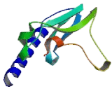 Glucagon Like Peptide 2 Receptor (GLP2R)