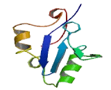 Glucocorticoid Modulatory Element Binding Protein 1 (GMEB1)