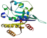 Glucocorticoid Receptor DNA Binding Factor 1 (GRLF1)