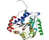 Glucosamine-6-Phosphate Deaminase 1 (GNPDA1)