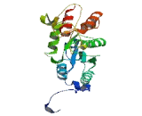 Glucosaminyl-N-Acetyl Transferase 6 (GCNT6)