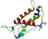 Glucose-6-Phosphatase, Catalytic 2 (G6PC2)