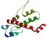 Glucose-6-Phosphatase, Catalytic 3 (G6PC3)