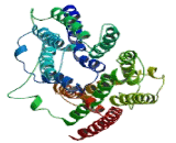 Glucose-6-Phosphate Transporter (G6PT1)