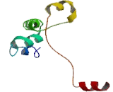 Glucose Transporter 1 (GLUT1)