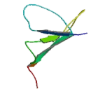 Glucose Transporter 3 (GLUT3)