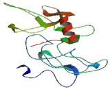 Glucose Transporter 5 (GLUT5)