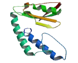 Glucose Transporter 6 (GLUT6)