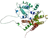 Glucose Transporter 9 (GLUT9)