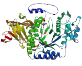 Glucosidase Alpha, Neutral AB (GaNAB)