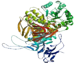 Glucosidase Alpha, Neutral C (GaNC)