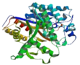 Glucosidase Beta, Acid 3 (GbA3)