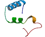 Glucoside Xylosyltransferase 1 (GXYLT1)