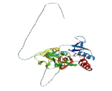 Glutamate Receptor, Ionotropic, AMPA 3 (GRIA3)