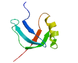 Glutamate Receptor, Ionotropic, Delta 2 Interacting Protein (GRId2IP)